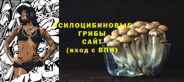 гидропоника Алексин