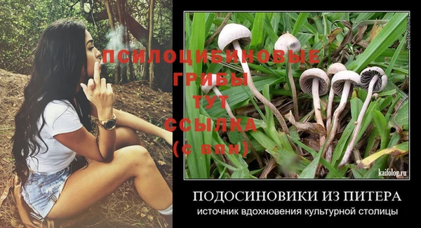 трава Алзамай