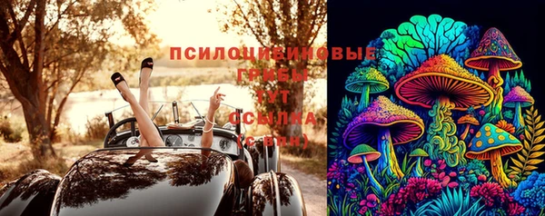 apvp Алексеевка